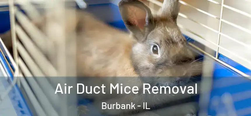 Air Duct Mice Removal Burbank - IL