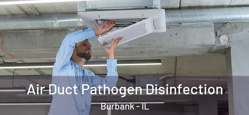 Air Duct Pathogen Disinfection Burbank - IL