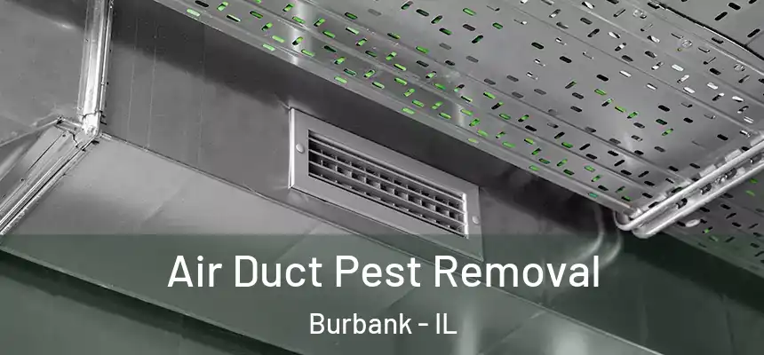 Air Duct Pest Removal Burbank - IL