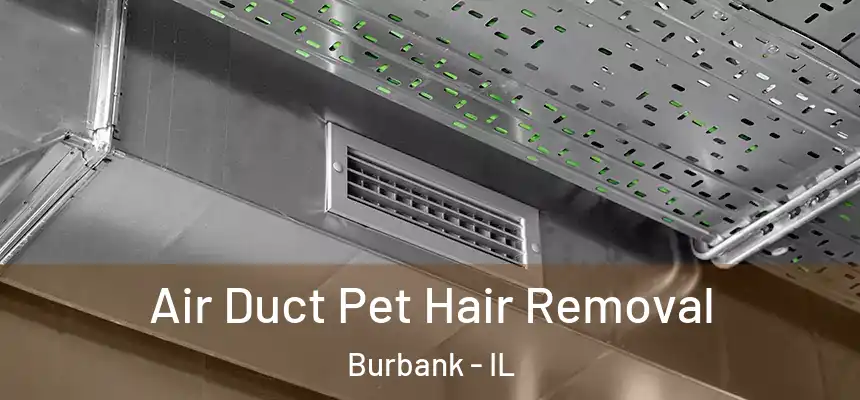 Air Duct Pet Hair Removal Burbank - IL