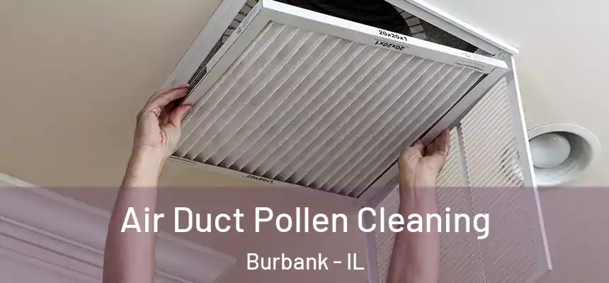 Air Duct Pollen Cleaning Burbank - IL