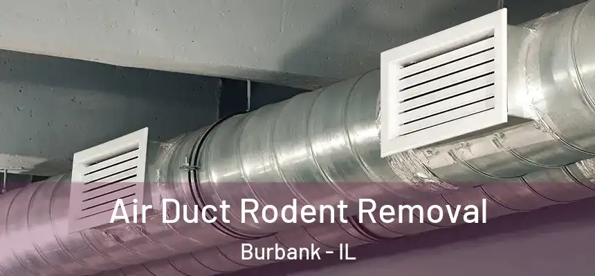 Air Duct Rodent Removal Burbank - IL