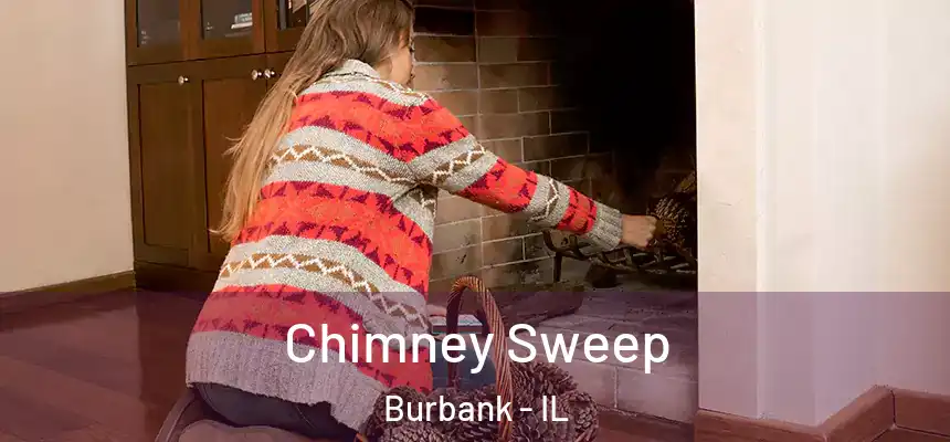  Chimney Sweep Burbank - IL