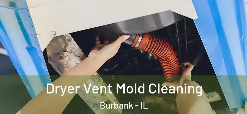 Dryer Vent Mold Cleaning Burbank - IL