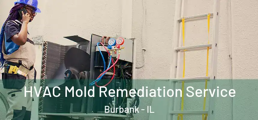  HVAC Mold Remediation Service Burbank - IL
