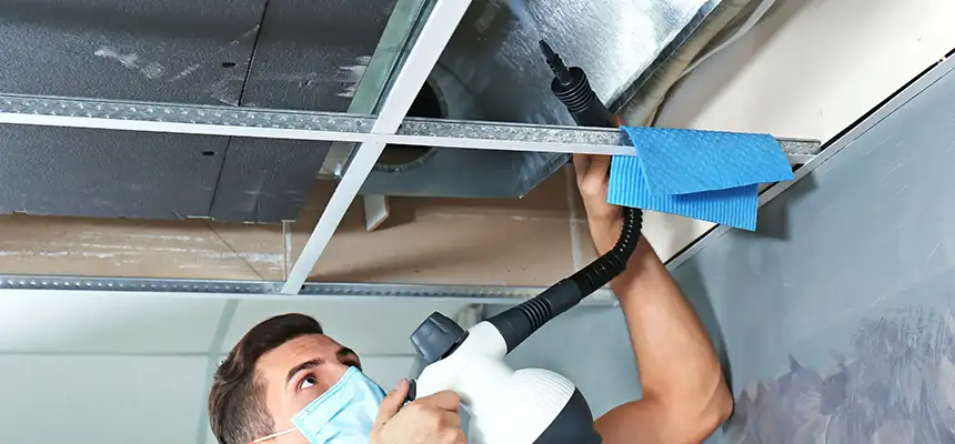 Our Air Duct Rodent Removal Services in Burbank, IL