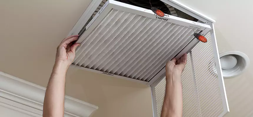 Our Insect Removal from Air Ducts Services in Burbank, IL