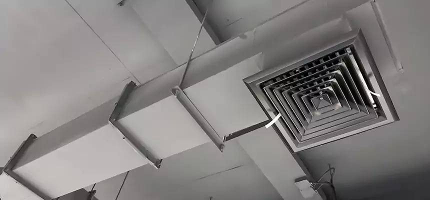 Our Rodent Droppings In Vents Services in Burbank, IL