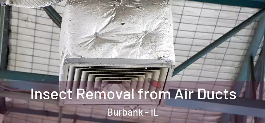  Insect Removal from Air Ducts Burbank - IL
