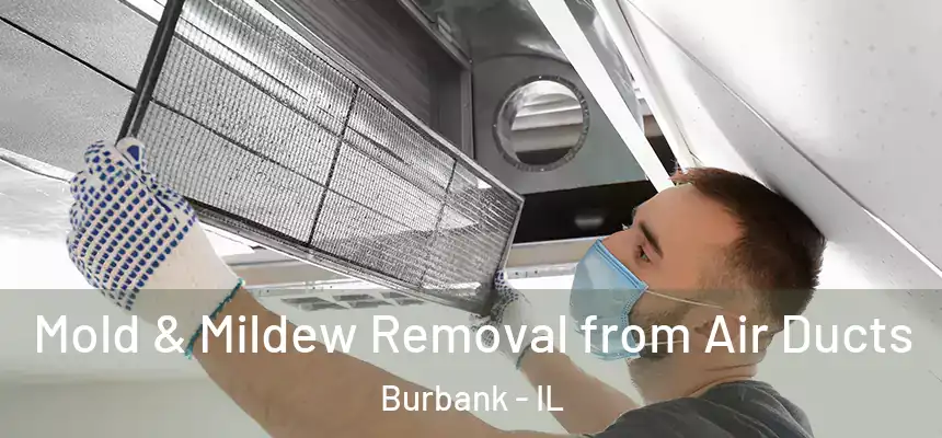 Mold & Mildew Removal from Air Ducts Burbank - IL
