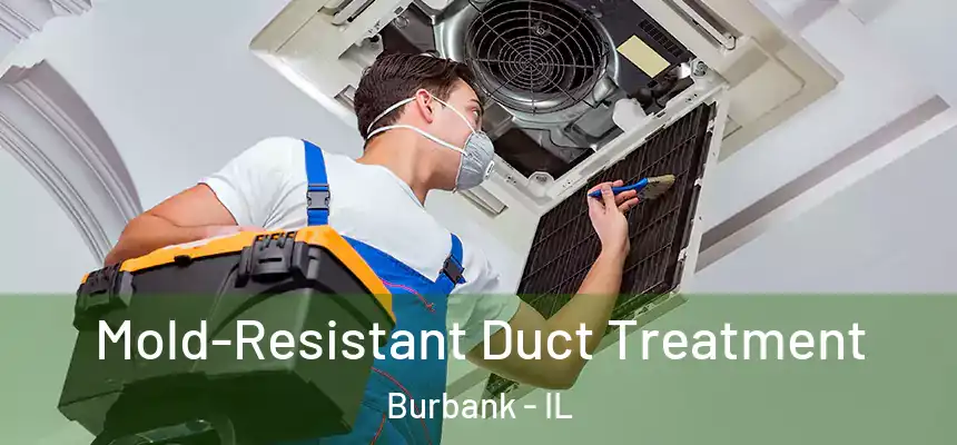 Mold-Resistant Duct Treatment Burbank - IL