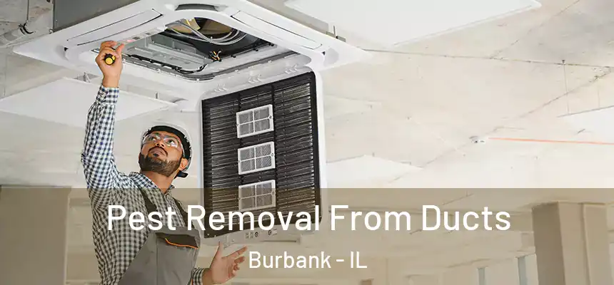  Pest Removal From Ducts Burbank - IL