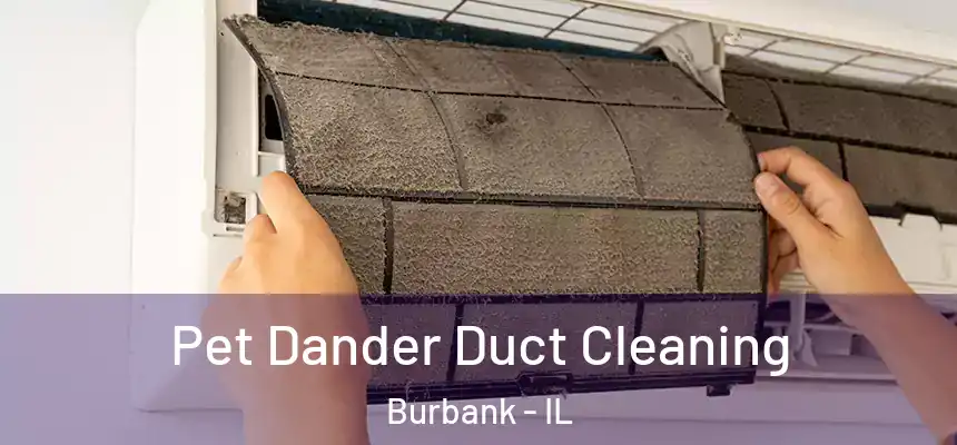 Pet Dander Duct Cleaning Burbank - IL