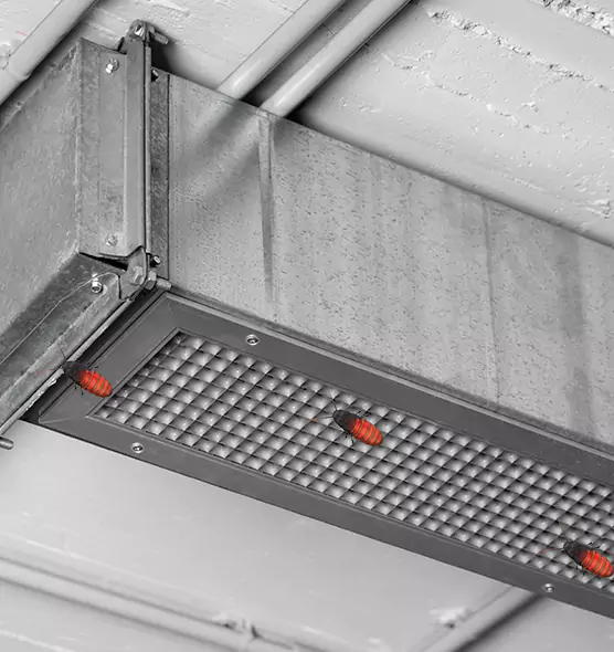 About Air Duct Cockroach Removal in Burbank, IL