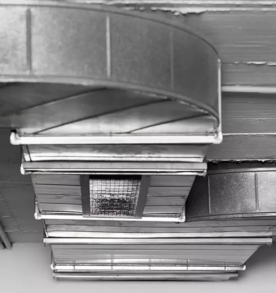 Professional Air Duct Pet Hair Removal in Burbank, IL