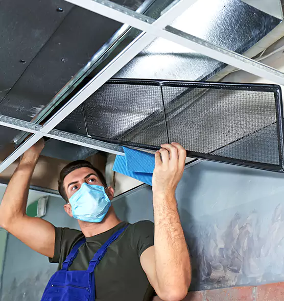 Professional Air Duct Pollen Cleaning in Burbank, IL