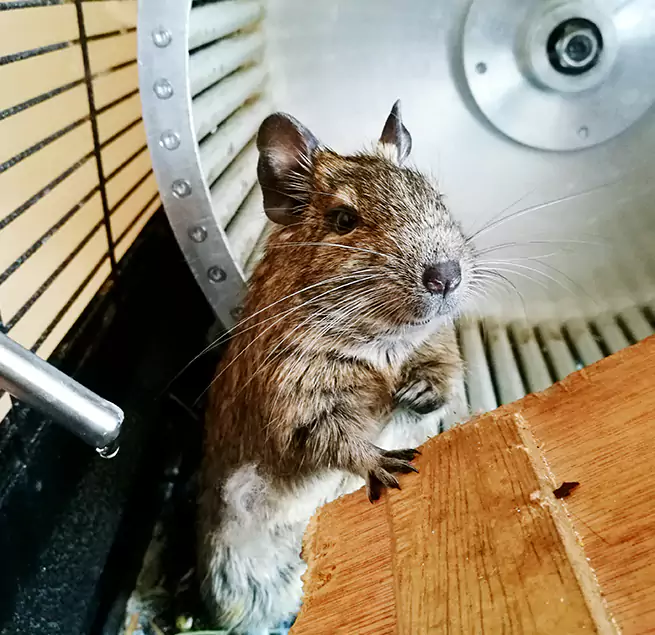 Why Homeowners & Businesses Trust Us Burbank, IL?