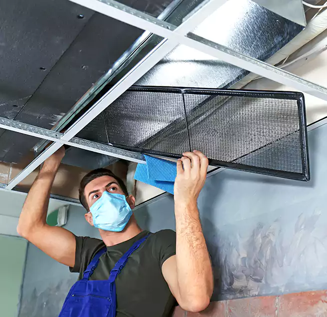 Why Homeowners Businesses Trust Us in Burbank, IL