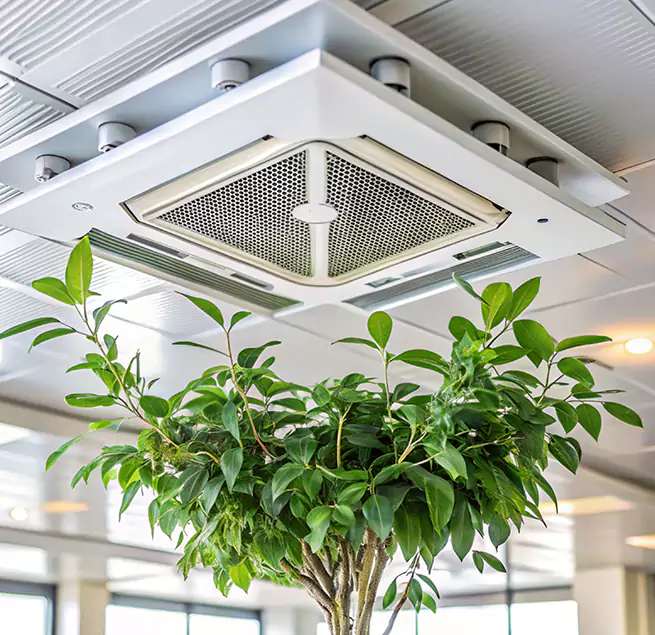 Why Homeowners & Businesses Trust Us in Burbank, IL?