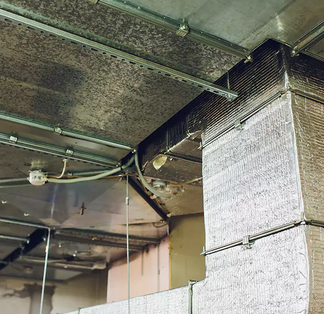 Why Homeowners & Businesses Trust Us in Burbank, IL?